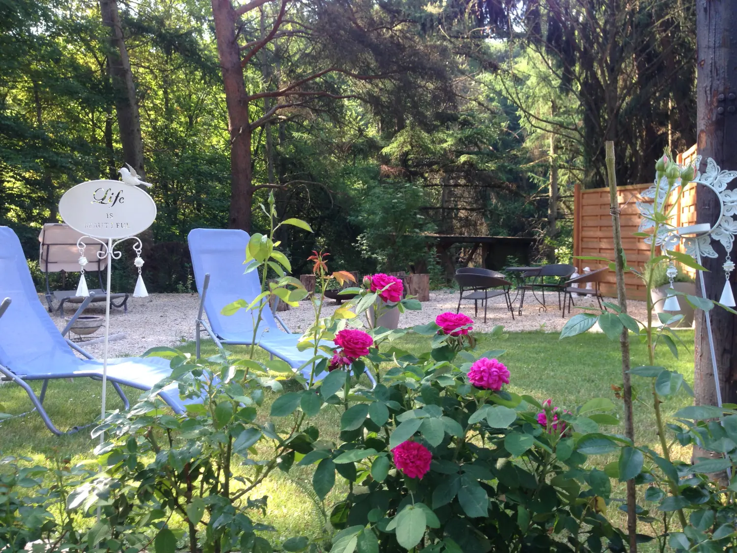 Hotel Sonnenhof, Rosenblüten im Garten