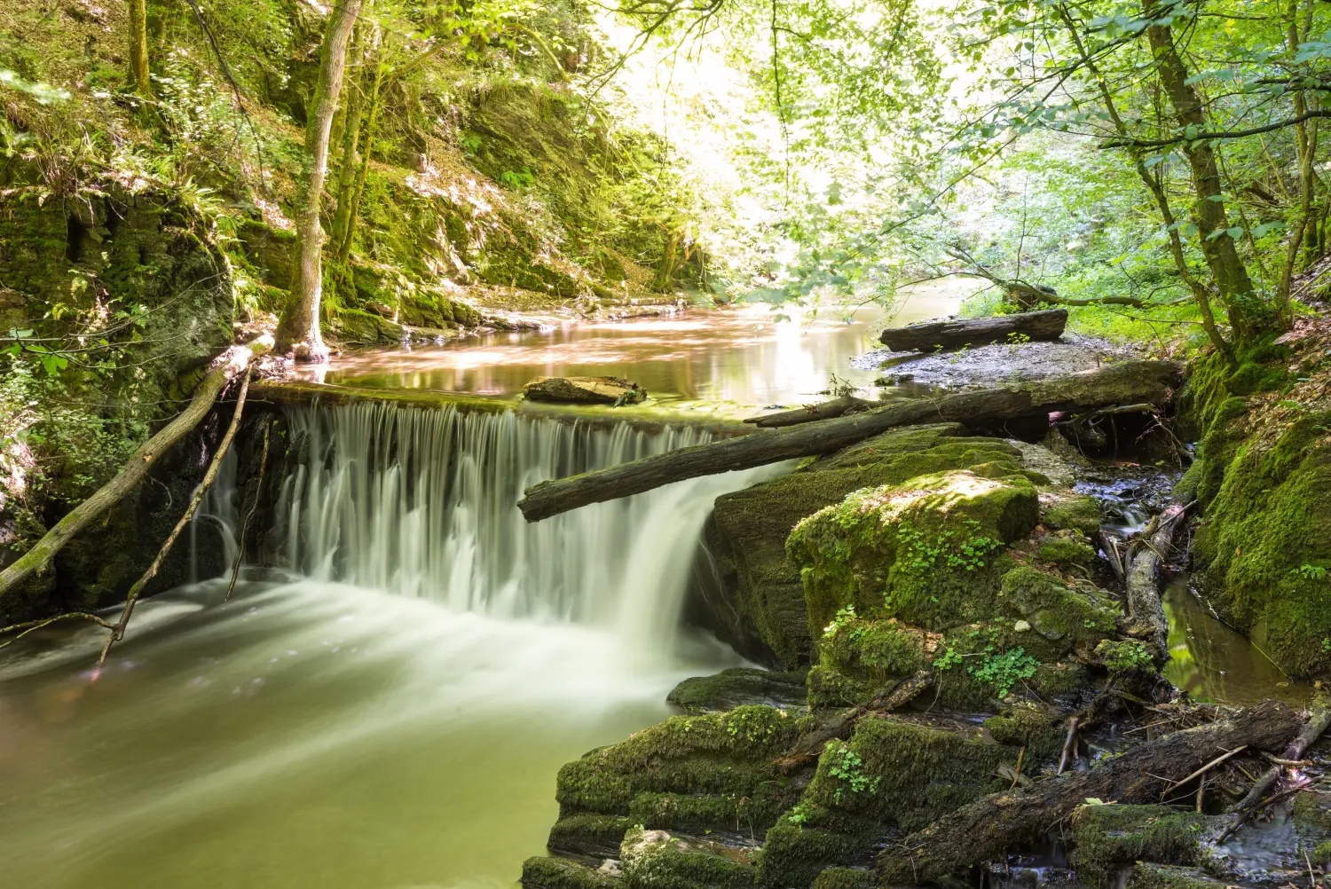 Hotel Sonnenhof, kleiner Wasserfall im Wald