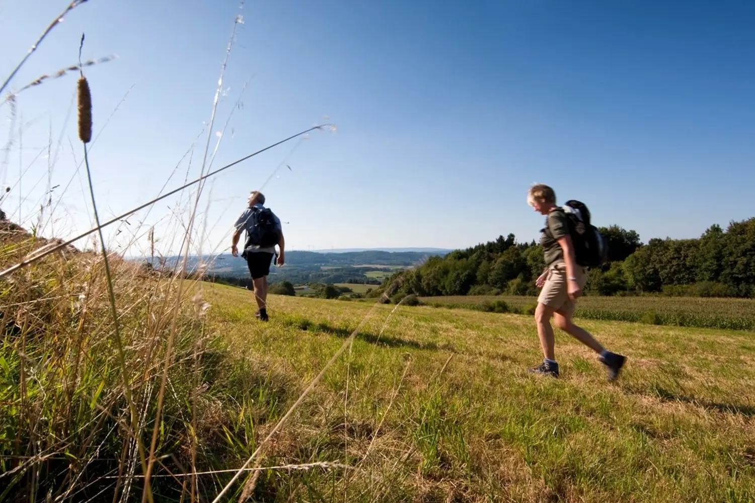 Hotel Sonnenhof, 2 Personen wandern auf dem Land