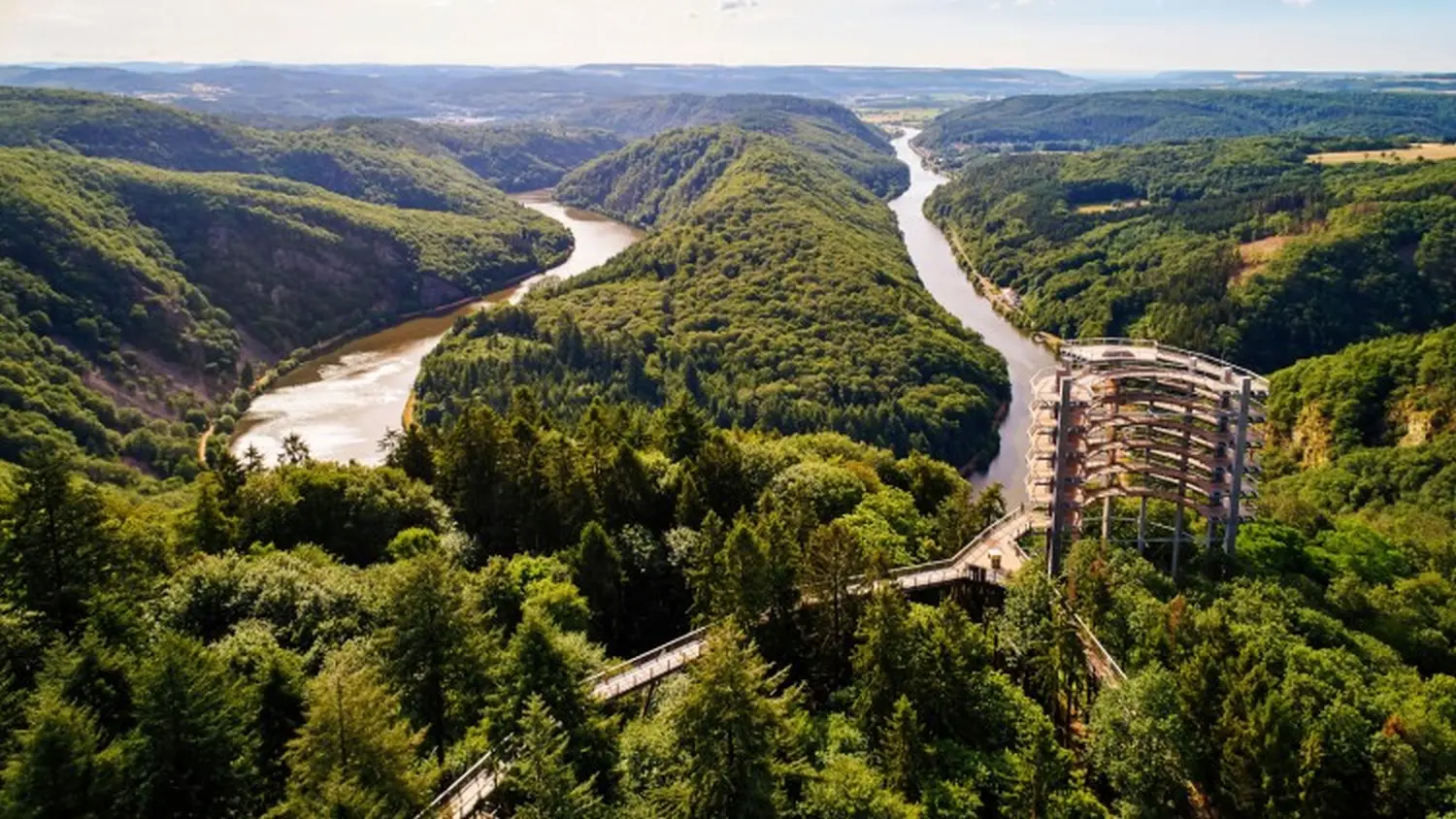 Hotel Sonnenhof, Blick auf den Wald von oben